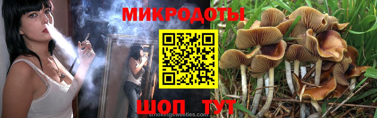 Псилоцибиновые грибы Psilocybe Черняховск